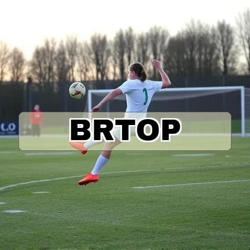 brtop.com: Dicas que Transformarão sua Experiência nos Jogos Online